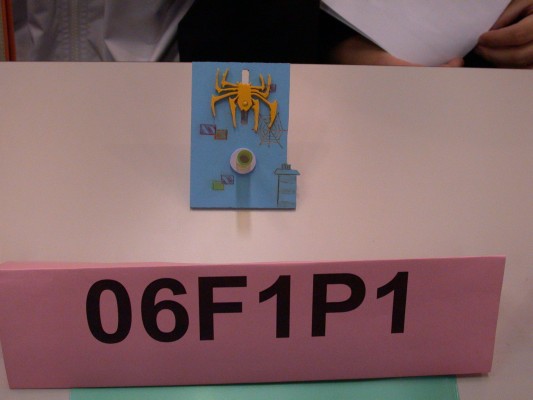 DSCN8077.JPG